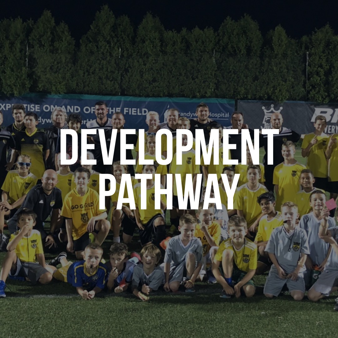 Development Pathway